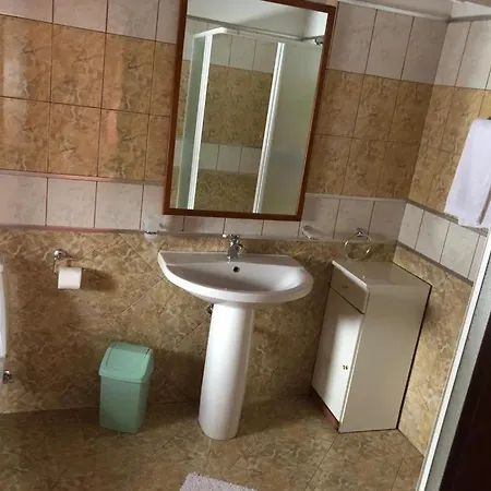Lodge Vila Eli Azuga